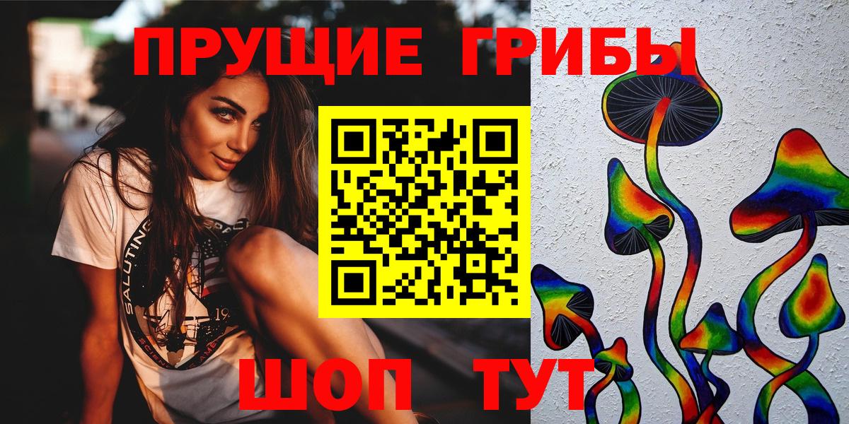 Псилоцибиновые грибы Cubensis  Вход с VPN  Химки 
